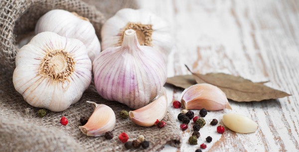 Garlic Festival background image