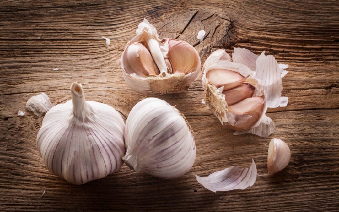 Great Ontario Garlic Abounds