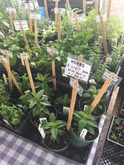 Featured Herb Festival Vendors