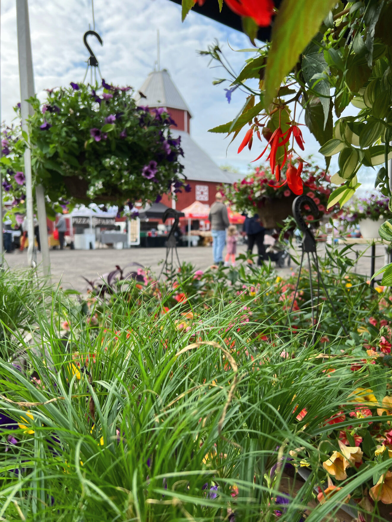 Market Day
