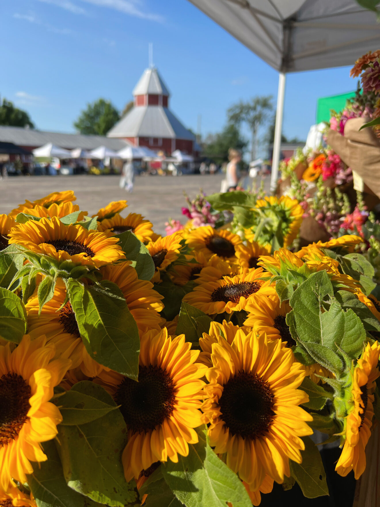 Market Day: It's our 35th Birthday!